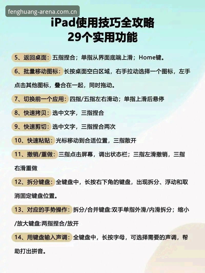 凤凰体育平台使用教程：从下载安装到无障碍观赛操作指南
